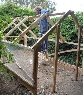 pallet greenhouse