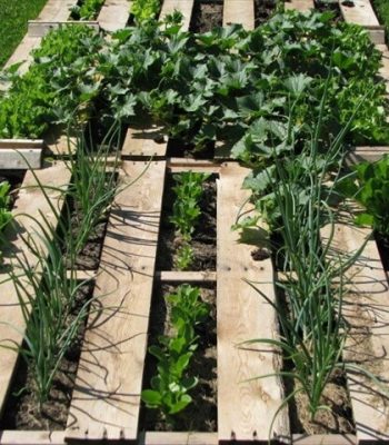 pallet vegetable garden