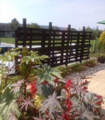 Beautiful Pergola out of Pallets for Garden