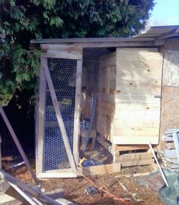 Pallet Lumber Chicken Coop