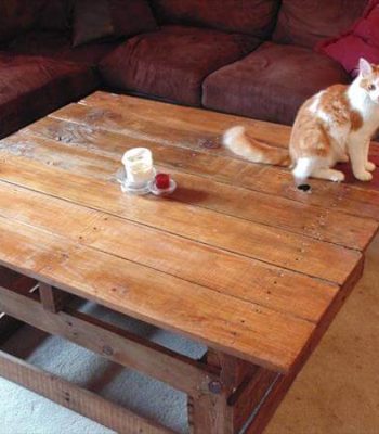 DIY Pallet Wood Coffee Table