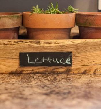Pallet Planter Box