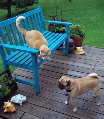 recycled pallet bench for deck