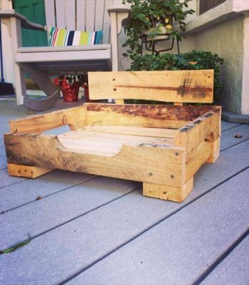 Recycled pallet dog house