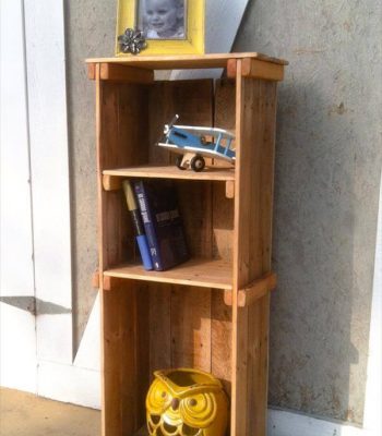 Pallet Bookshelf