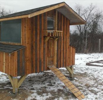 recycled pallet chicken coop