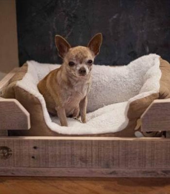 reclaimed pallet dog bed