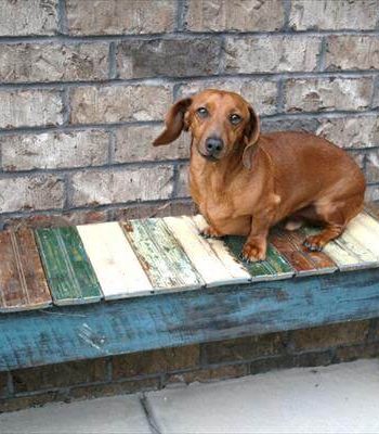 repurposed pallet table