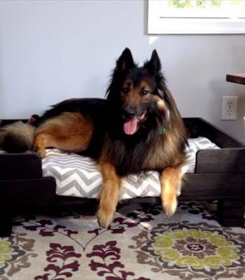 reclaimed pallet dog bed