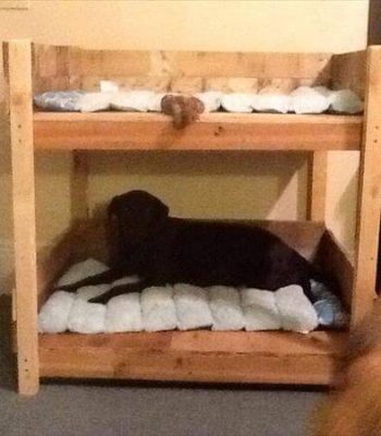 diy bunk pallet bed idea
