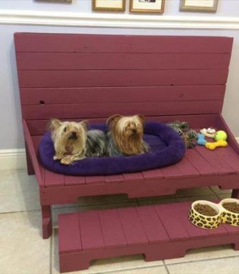 recycled pallet dog bed and bench