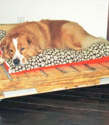 recycled pallet dog bed