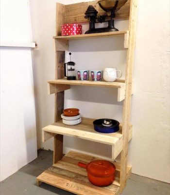 reclaimed pallet ladder shelving