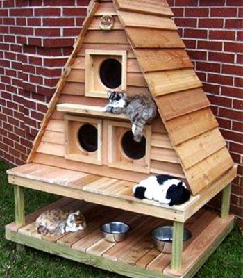 pallet cat house