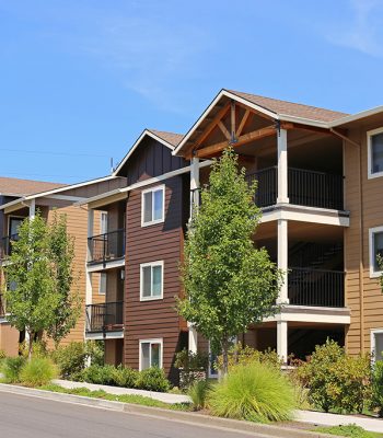 How You Can Revitalize an Old Apartment Without Spending a Fortune